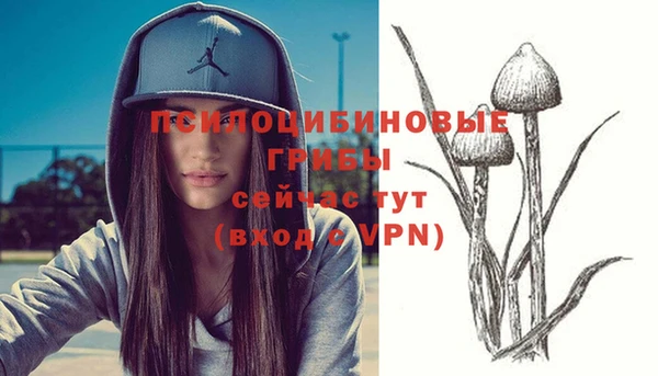 mdpv Алзамай