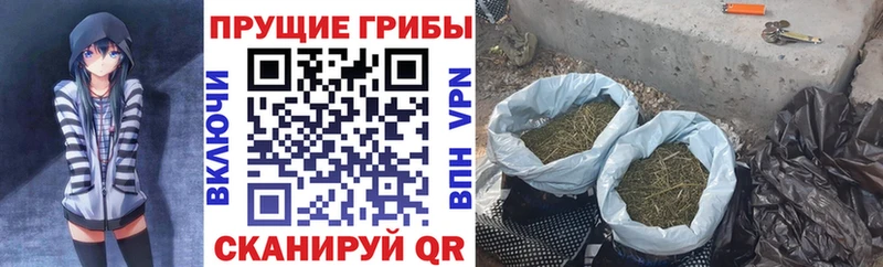 Псилоцибиновые грибы Psilocybine cubensis  OMG зеркало  Алатырь 